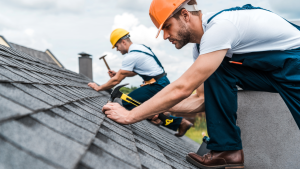 Roof Maintenance